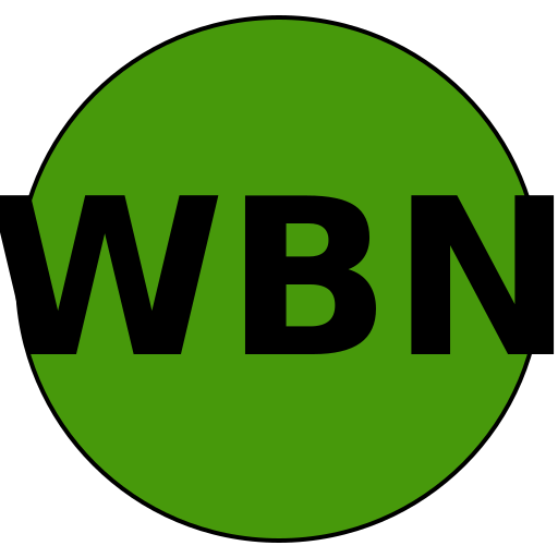 Wise Beauty Network